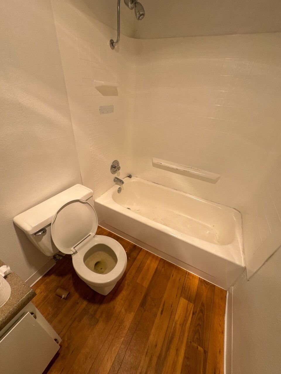 Shower Enclosure Replacement: A Stunning Transformation